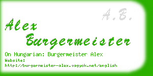 alex burgermeister business card